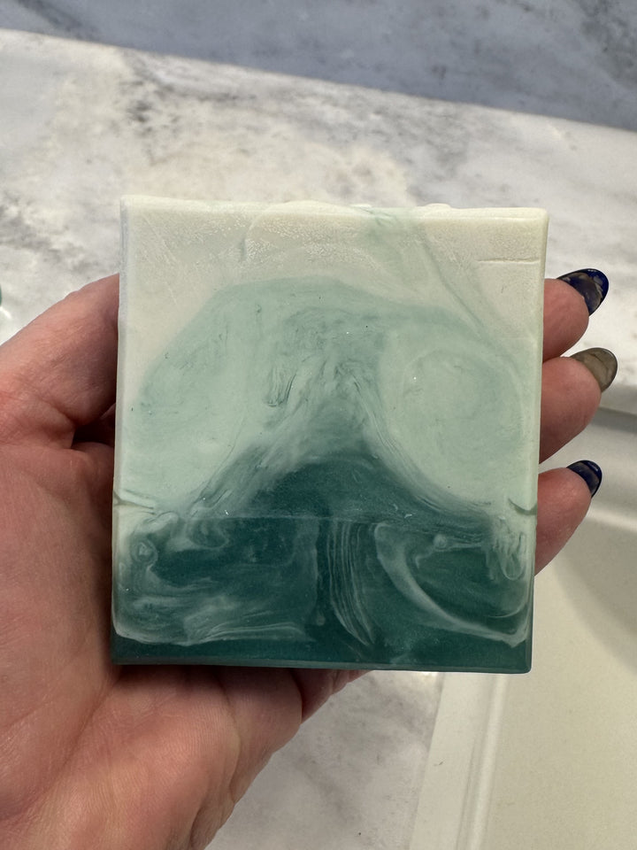 White Birch Soap front view in hand, highlighting earthy texture.