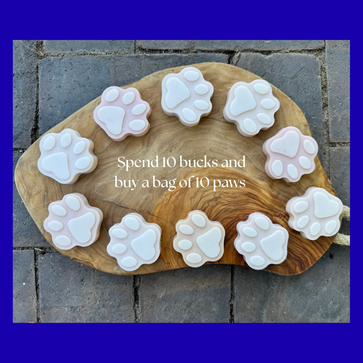 Puppy Paw Gift Bag that supports the Elk Grove CA Animal Shelter