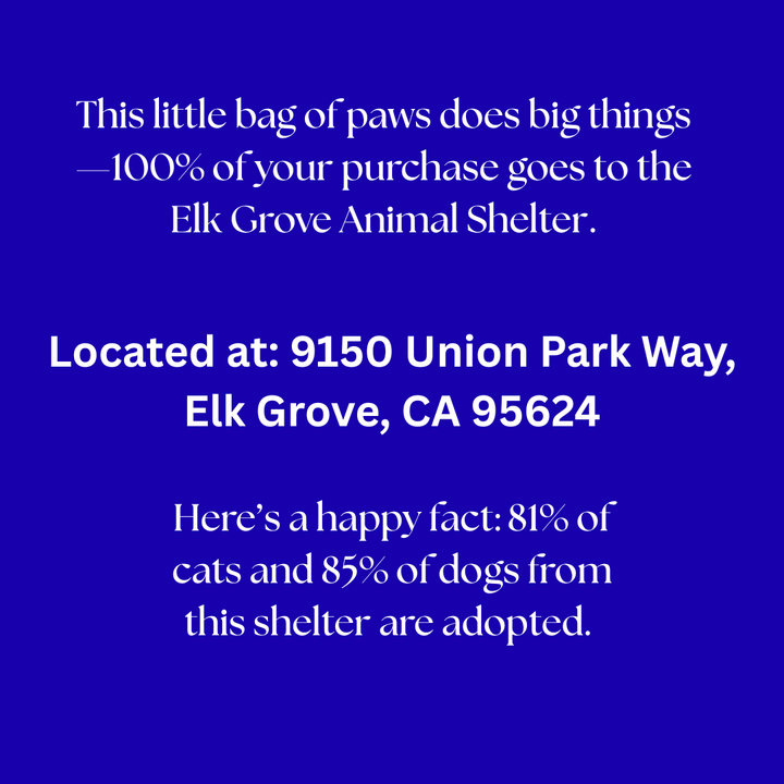 Puppy Paw Gift Bag that supports the Elk Grove CA Animal Shelter