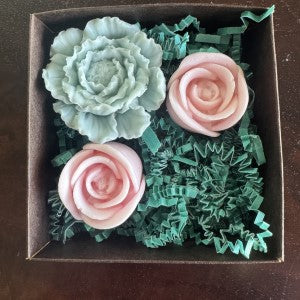 Three Little Pumeria Flowers in a Box