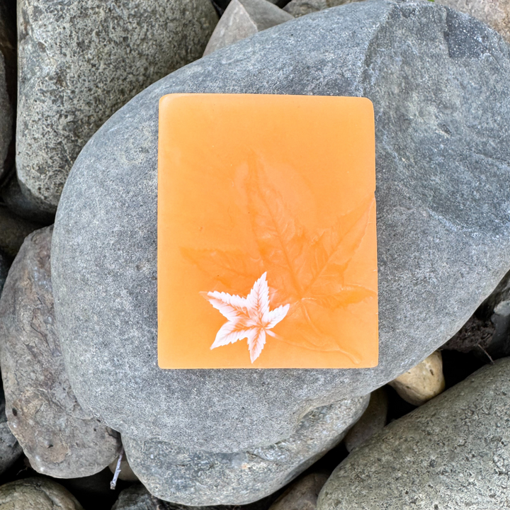 Autumn Spice Handcrafted Soap, Aloe Vera, Olive OIl and Goat Milk Soap