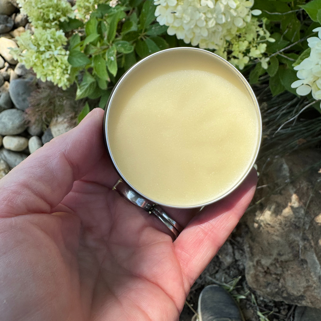 Hand holding a small round container of cream against a natural background with greenery.