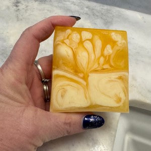 Warm Citrus Sented Soap, Cinnamon, Orange and Clove,  Nourishing Skincare Soap, Aloe Vera, Olive Oil and Goat Milk Soap