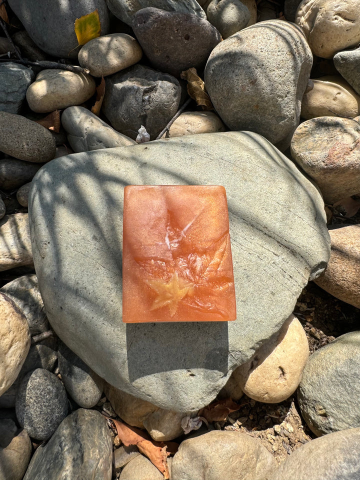 Spiced Pumpkin Soap, Savory Scent