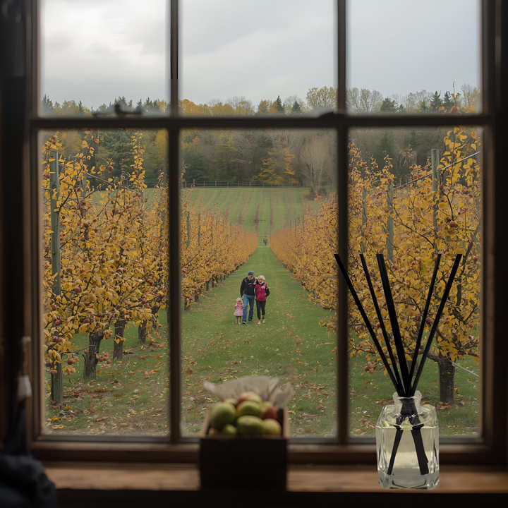 PJ's Sweater Weather Home Fragrance Room Diffuser,  Crisp Sun-Ripened Pears and Apples Aroma, Flameless Fragrance