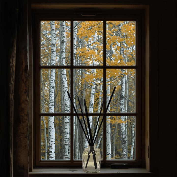 PJ's White Birch Home Fragrance Room Diffusers,  Elevated Crisp Mountain Aroma, Flameless Fragrance